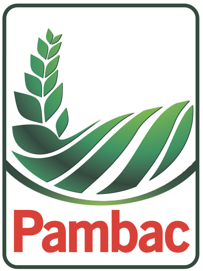 Logo Pambac